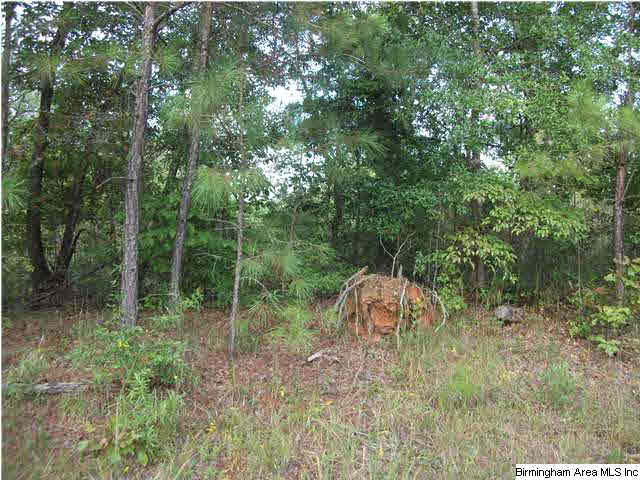 Hamilton Road, Unit 5 Pell City, AL 35128 - Photo 3 of 4 Gallery Image 3