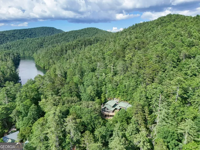 a view of a lush green forest with trees in the background