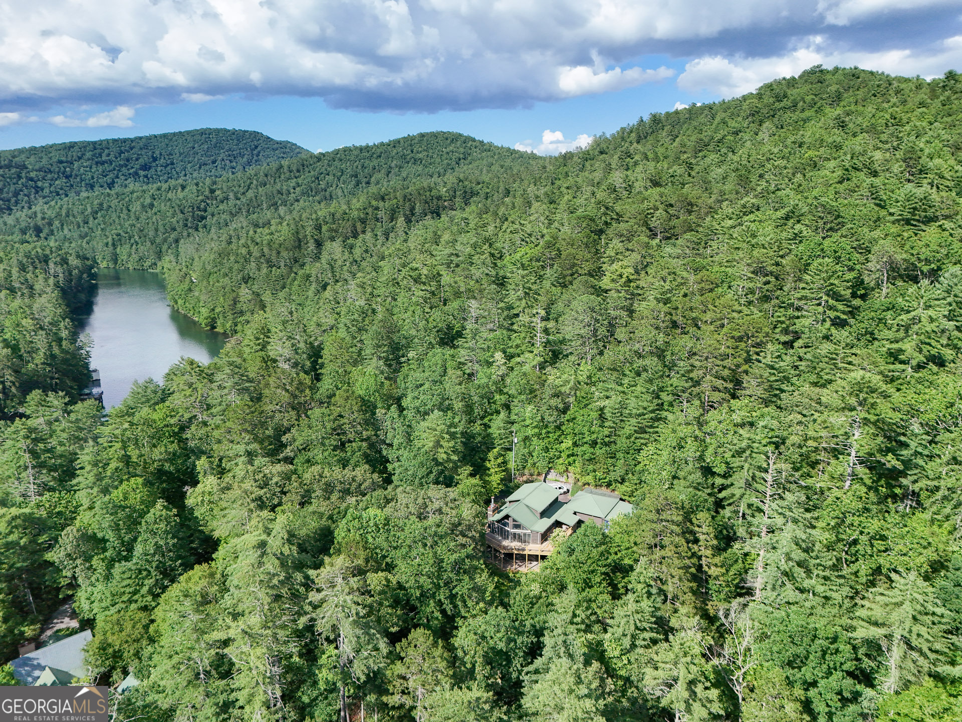 1799 Seed Lake Road Lakemont, GA 30552 - Photo 32 of 42 a view of a forest with a houses