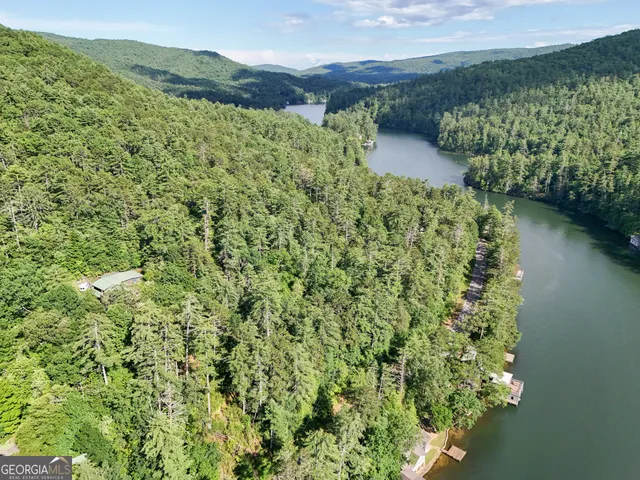 a view of a garden with trees