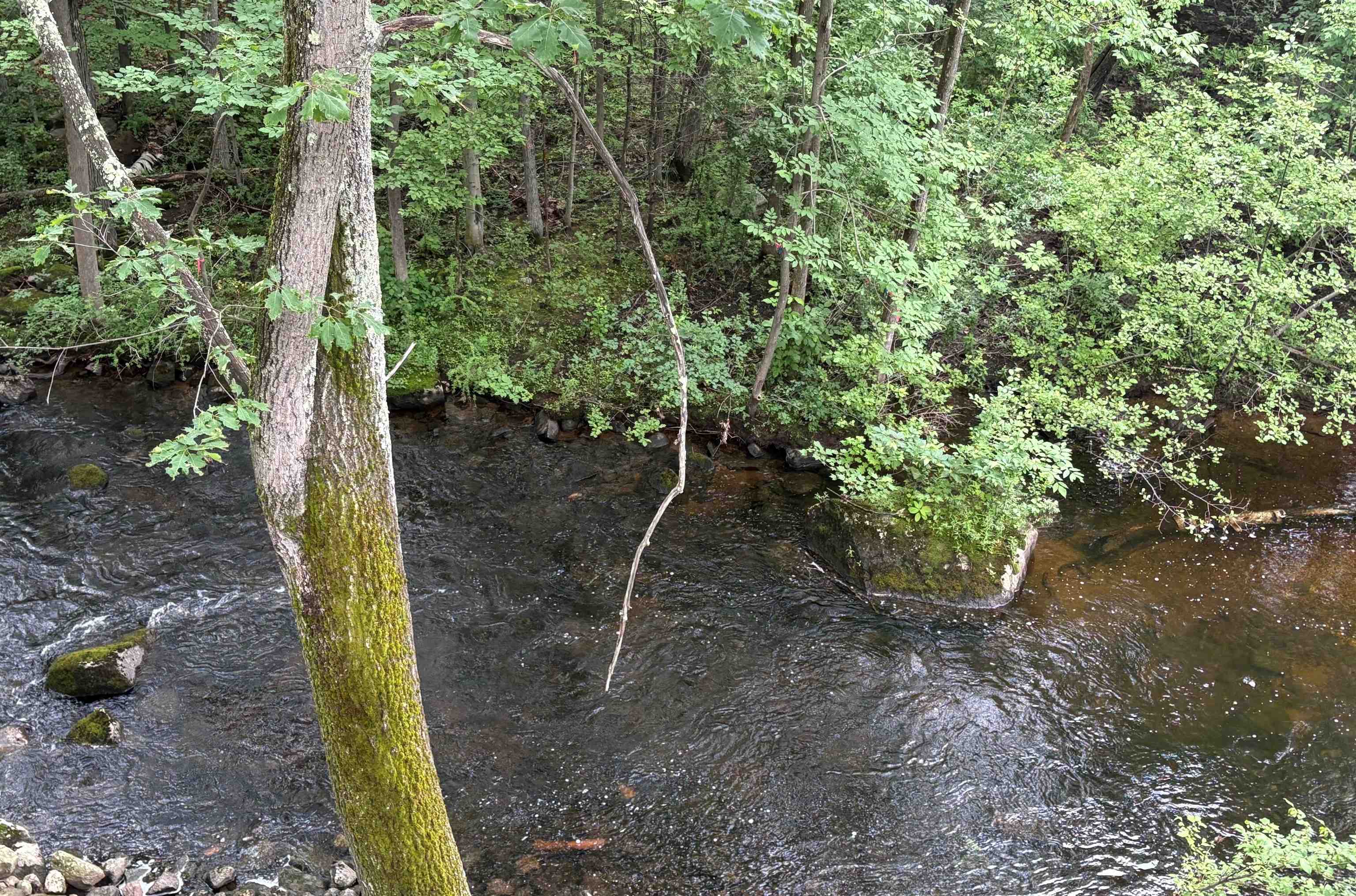 1043 Main Street Sunapee, NH 03782 - Photo 45 of 48