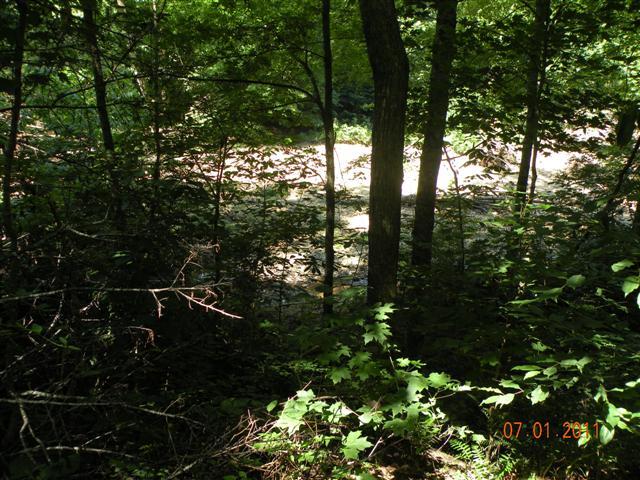 117 Distillery Road Greenbrier, TN 37073 - Photo 8 of 8 View of Creek