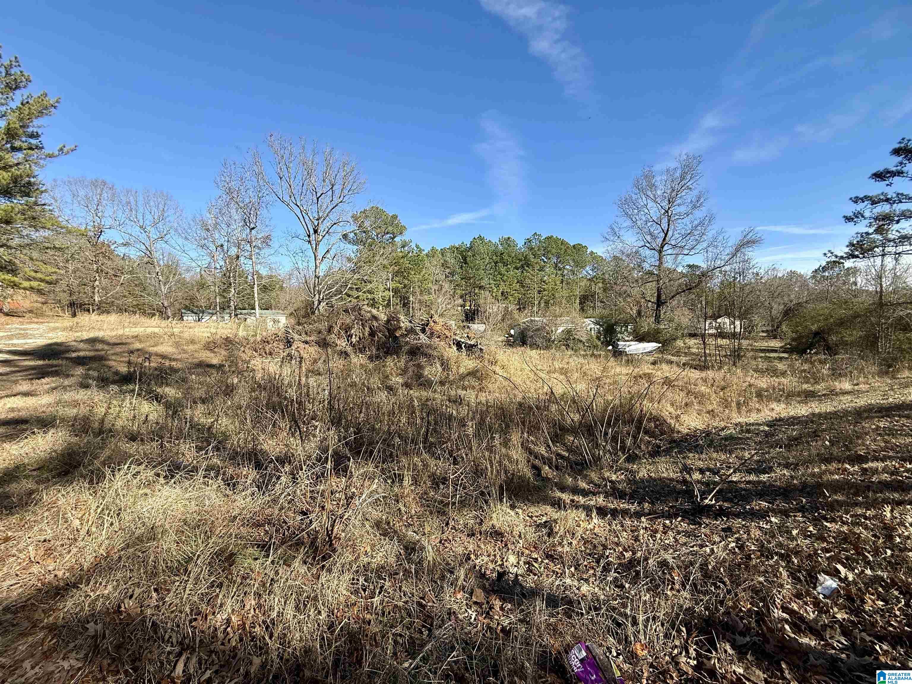 196 Arco Dairy Road Alpine, AL 35014 - Photo 4 of 7