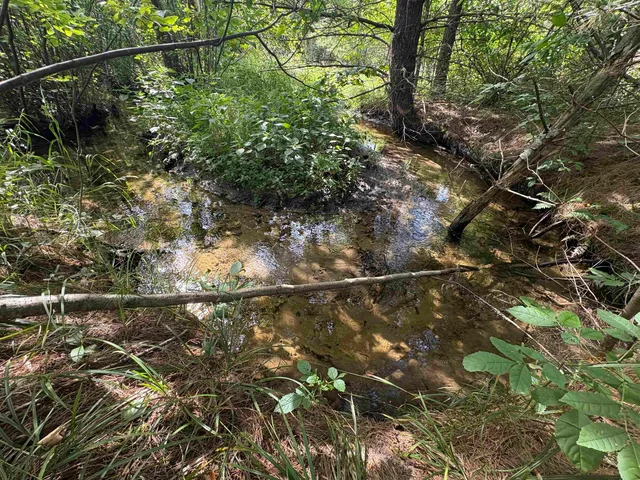 $699,900 | 6386 Kelly Road, Gillett, WI 54124