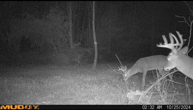 $699,900 | 6386 Kelly Road, Gillett, WI 54124