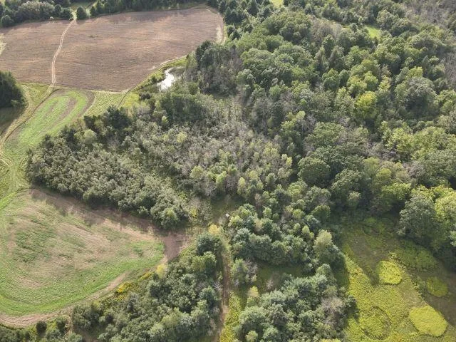 $699,900 | 6386 Kelly Road, Gillett, WI 54124