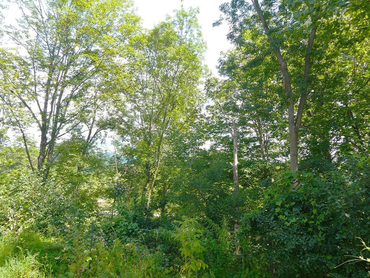 48 Maple Street Brandon, VT 05733 - Photo 11 of 27 Gallery Image 11