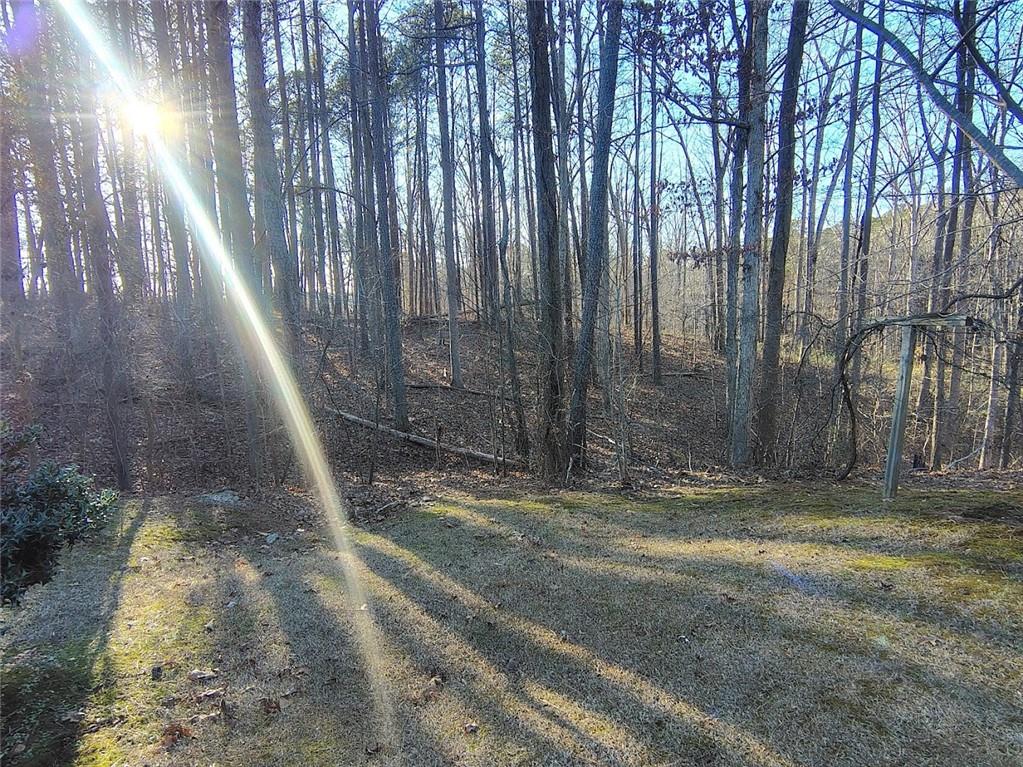 309 Pickett's Crossing Acworth, GA 30101 - Photo 11 of 21