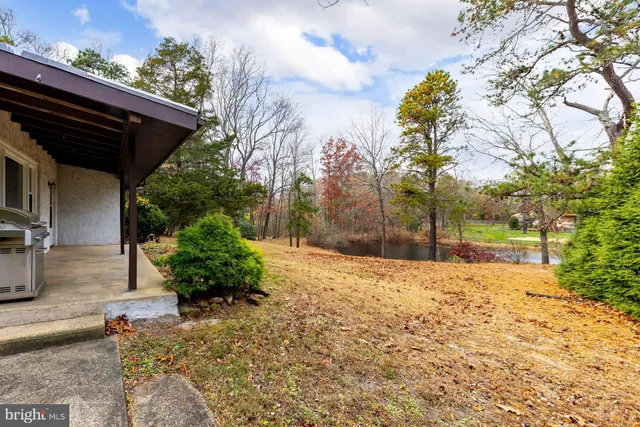 a view of potted plants in backyard of house