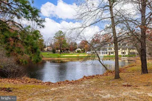 a view of a yard with large trees