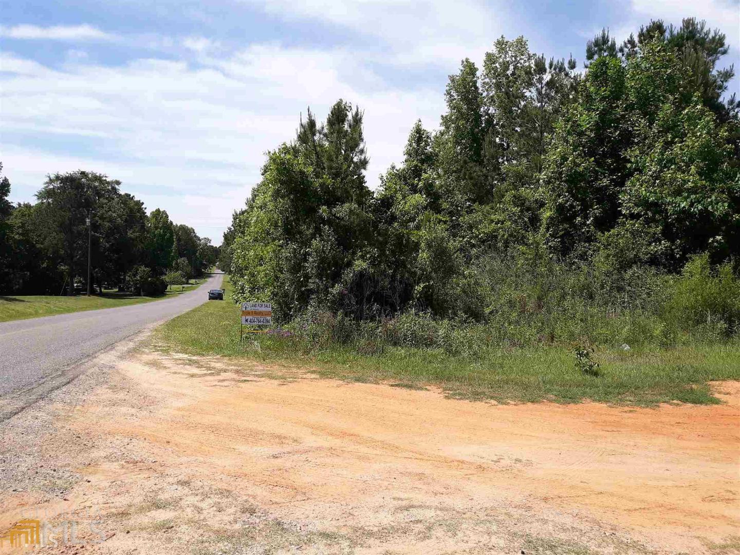 0 Chatfield Road, Unit TRACK A B & PB2/53 Culloden, GA 31016 - Photo 3 of 4 a view of a water fountain and a yard