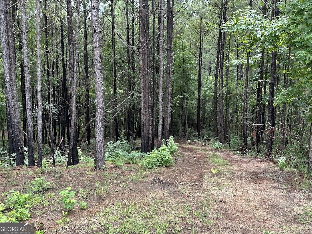 0 Ferry Road Franklin, GA 30217 - Photo 11 of 12 Gallery Image 11