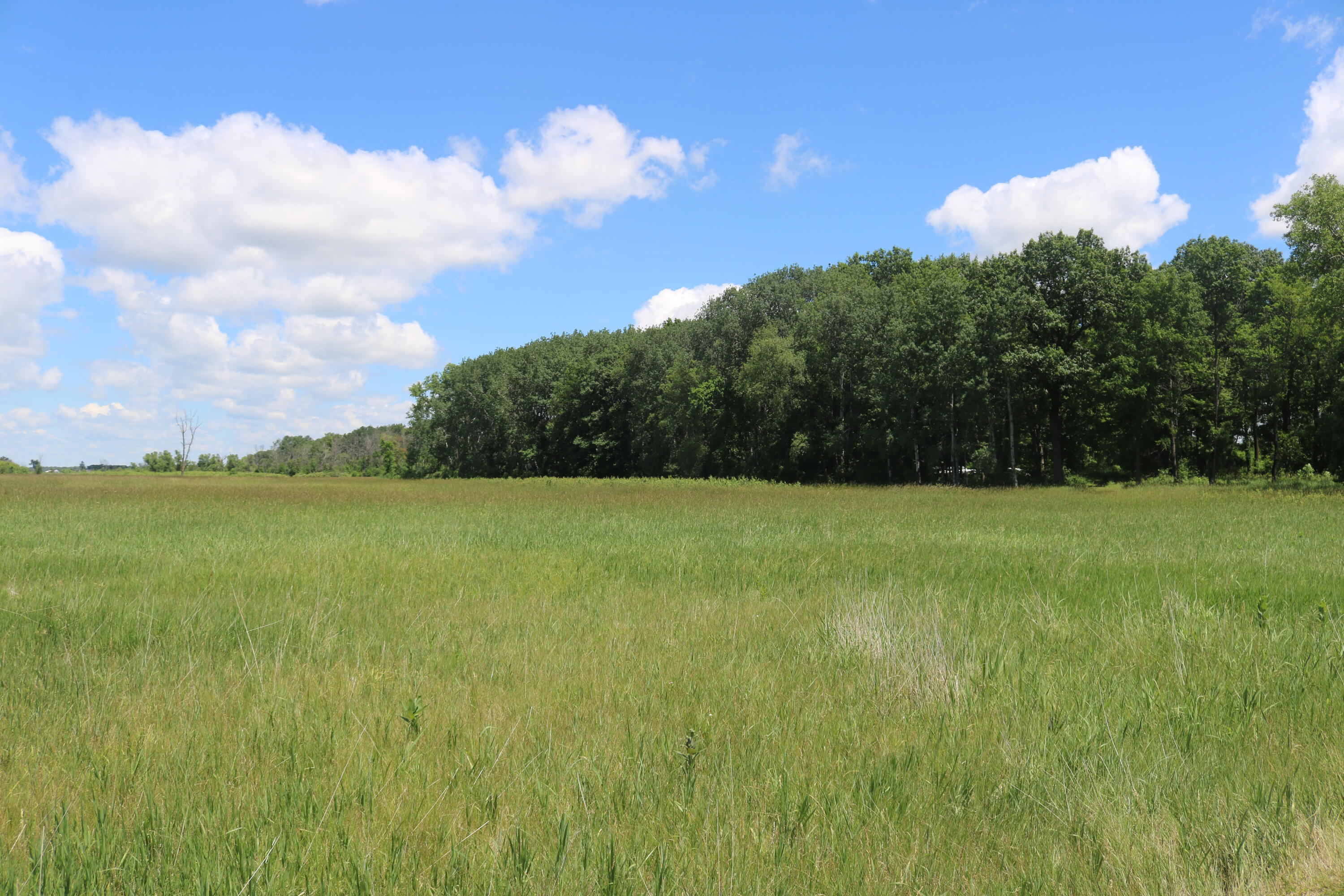 5 5 Mile Road Watertown, WI 53098 - Photo 12 of 17 IMG_1578