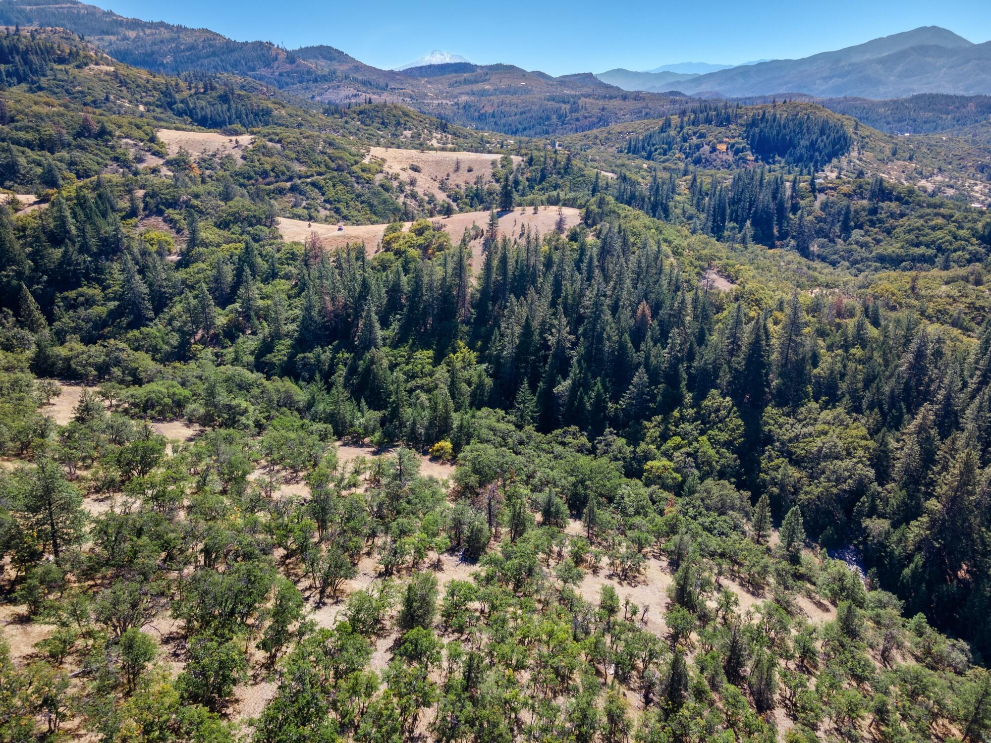 0 Colestin Road Ashland, OR 97520 - Photo 12 of 13 DJI_0923