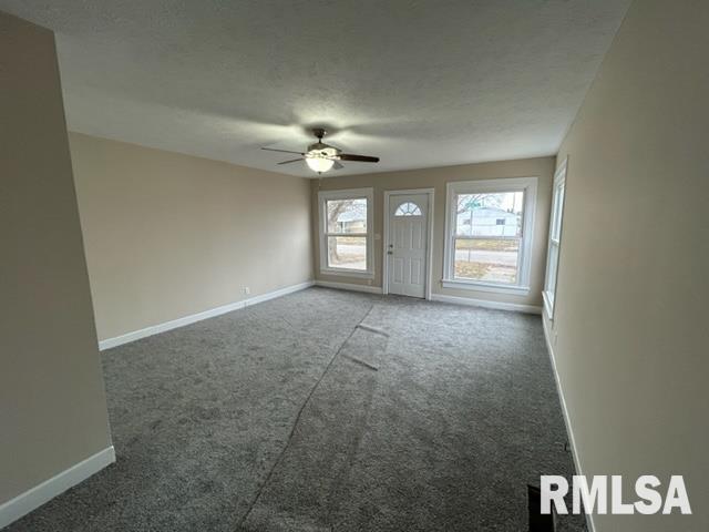 1156 North Indiana Avenue Springfield, IL 62702 - Photo 3 of 15