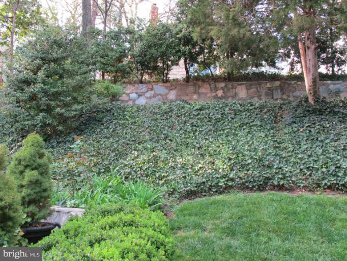 2004 Windsor Road Alexandria, VA 22307 - Photo 26 of 30 Exterior (Rear)