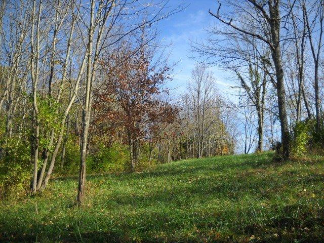 49 Hamilton Springs Road Lancaster, KY 40444 - Photo 22 of 23 Photo 22