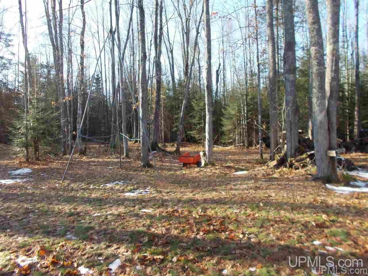 Tbd Tbd Co Road Ishpeming, MI 49849 - Photo 24 of 29