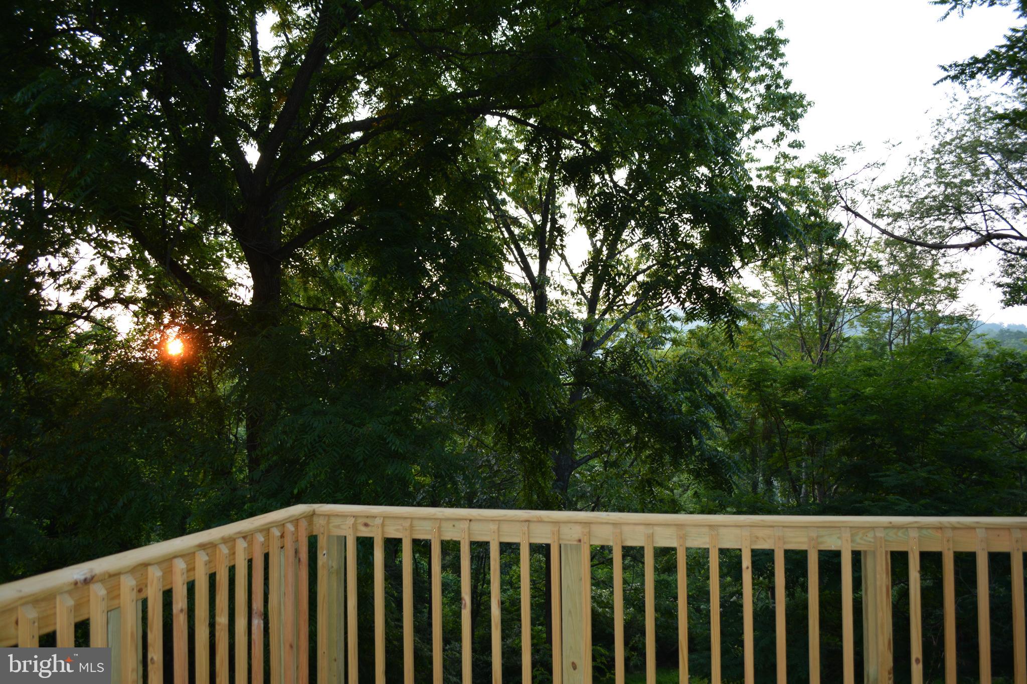 348 Rome Beauty Drive Linden, VA 22642 - Photo 2 of 80 Lovely sunrises from brand new 12x12 rear deck!