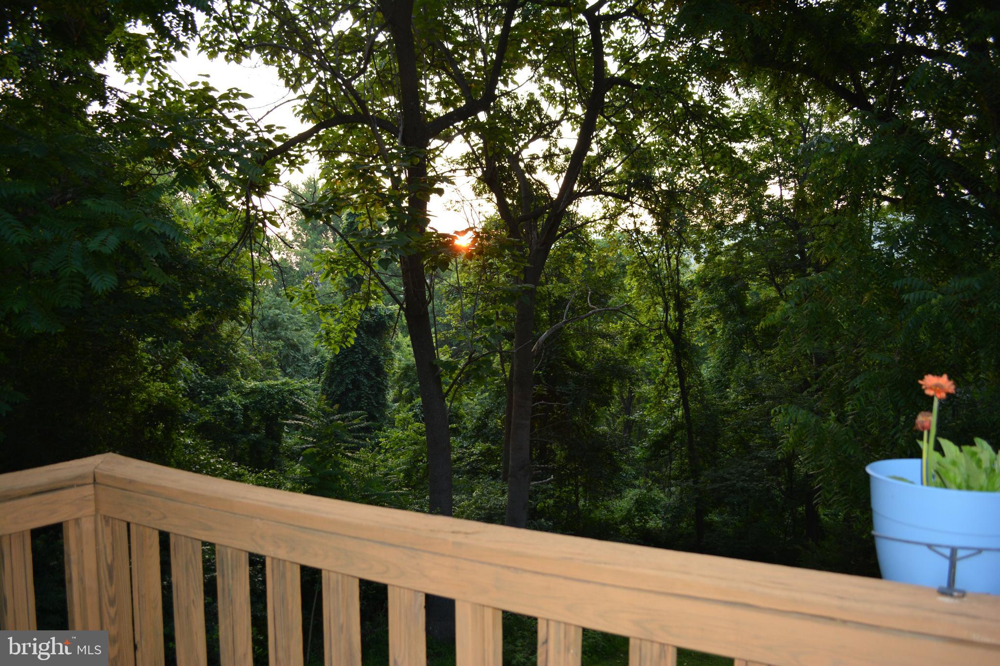 348 Rome Beauty Drive Linden, VA 22642 - Photo 32 of 80 Great sunrise views off master balcony