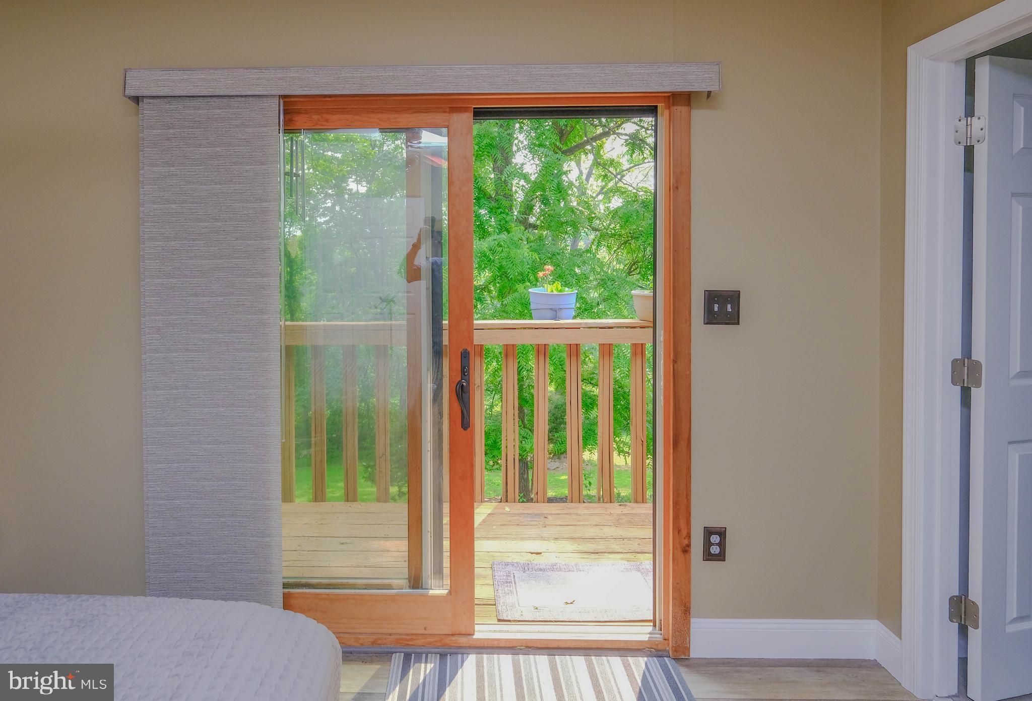 348 Rome Beauty Drive Linden, VA 22642 - Photo 33 of 80 Sliders in master to balcony