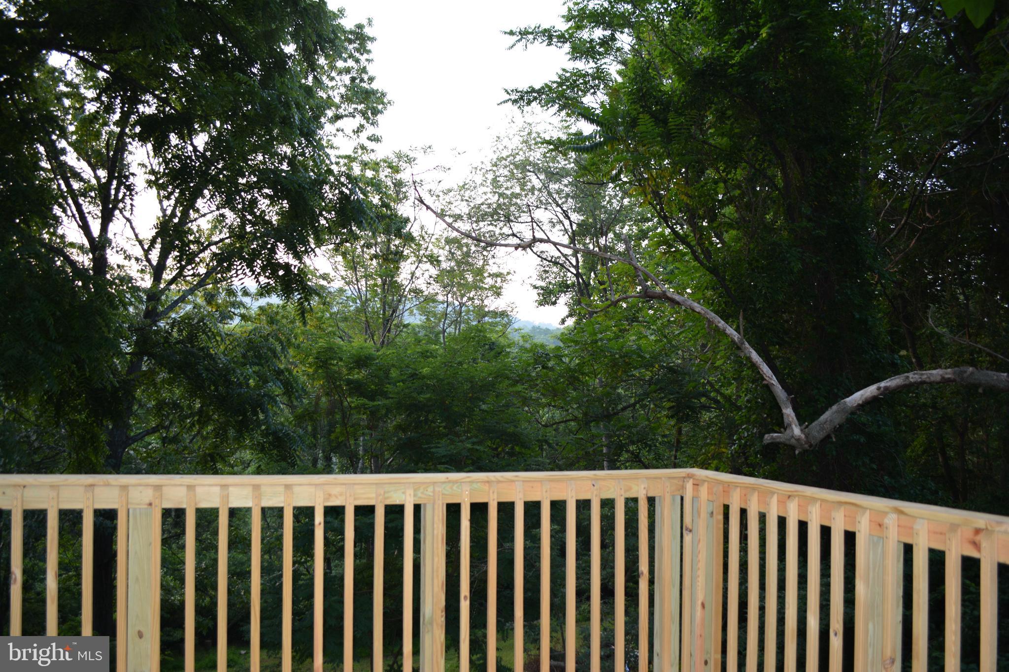 348 Rome Beauty Drive Linden, VA 22642 - Photo 4 of 80 Great mountain views--even more in winter!