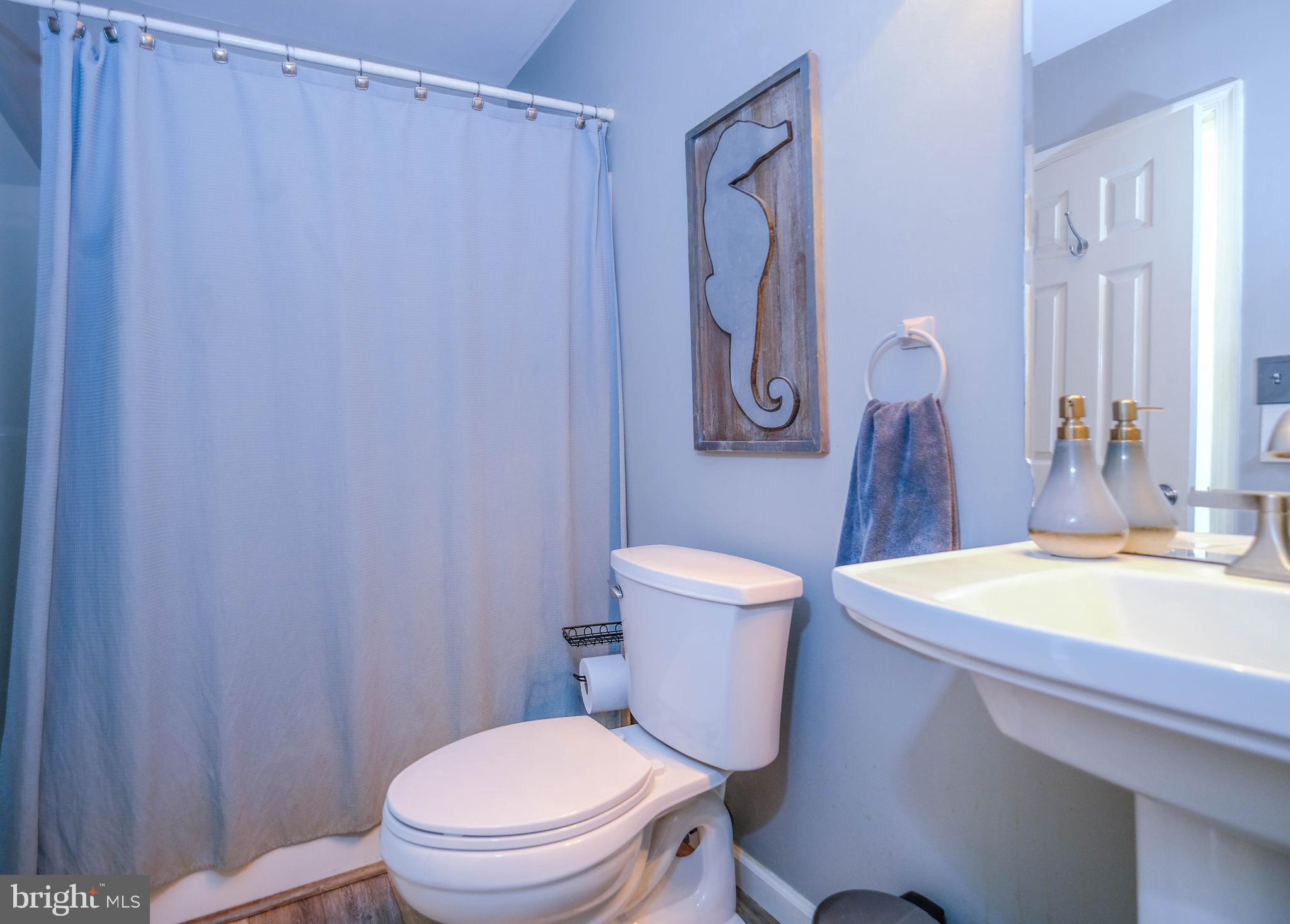 348 Rome Beauty Drive Linden, VA 22642 - Photo 47 of 80 Hall bath