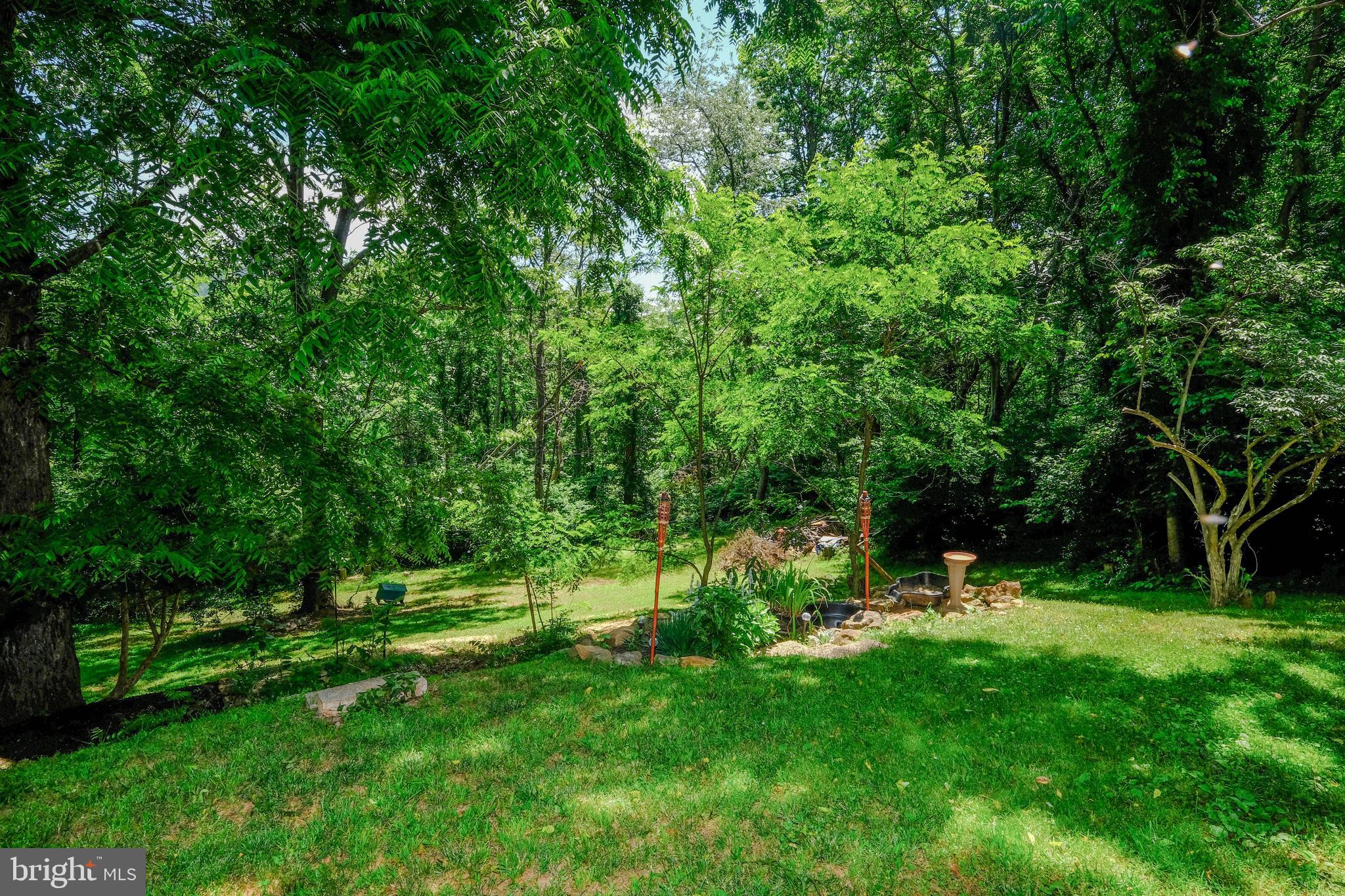 348 Rome Beauty Drive Linden, VA 22642 - Photo 5 of 80 One of the most lovely private rear yards around!