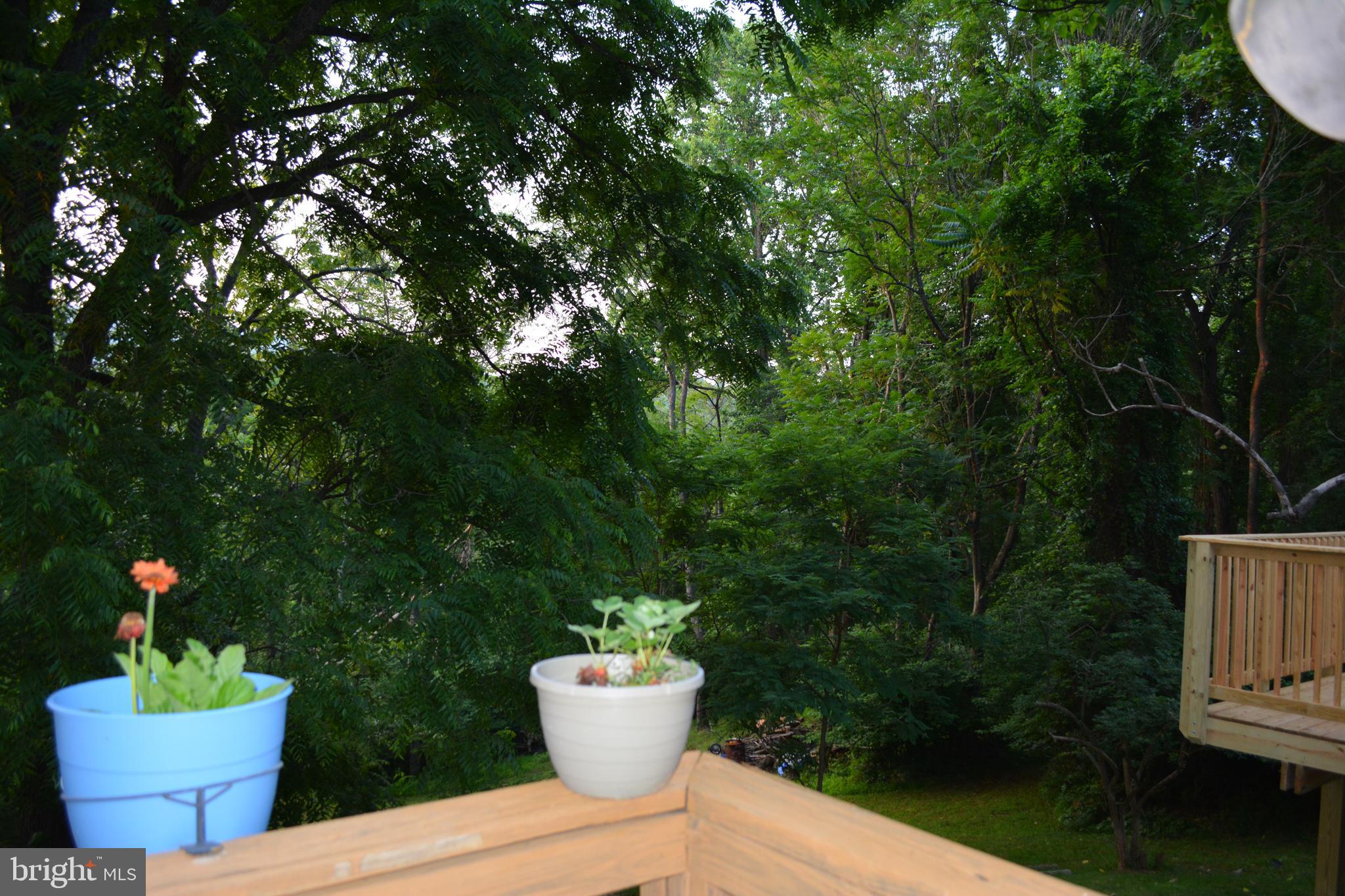 348 Rome Beauty Drive Linden, VA 22642 - Photo 52 of 80 Master balcony view