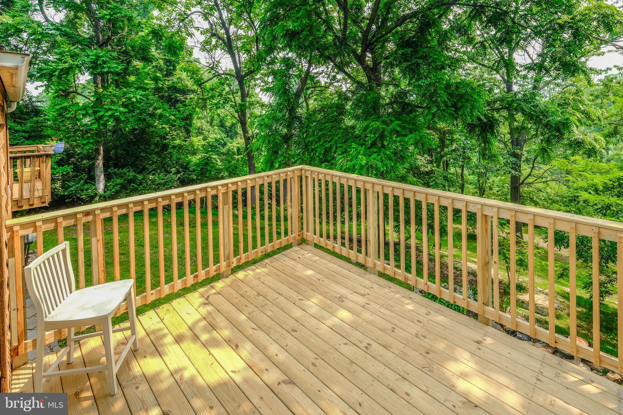 348 Rome Beauty Drive Linden, VA 22642 - Photo 55 of 80 Brand new deck built May 2023