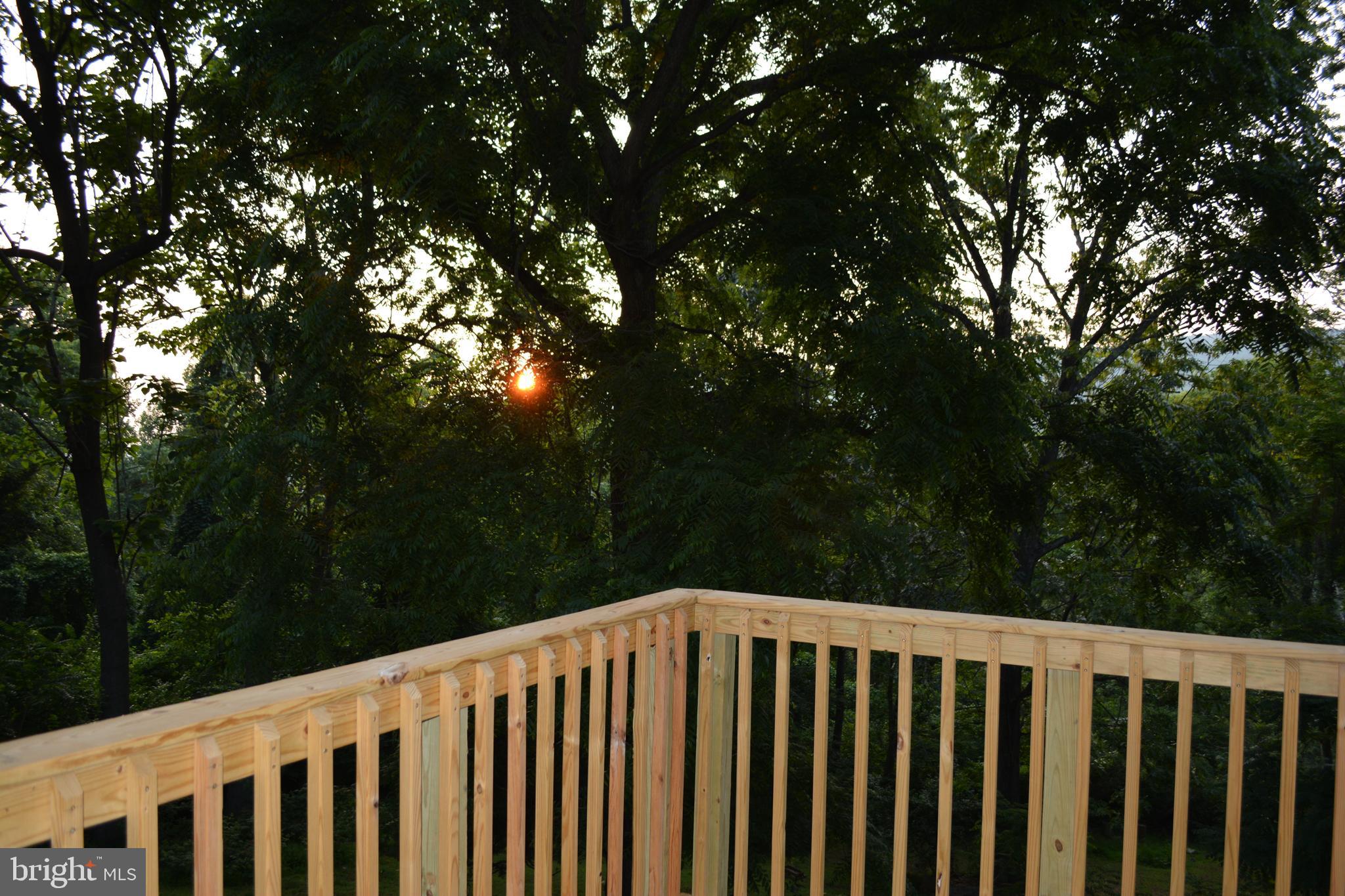 348 Rome Beauty Drive Linden, VA 22642 - Photo 56 of 80 Often the sky lights up much more at sunrise