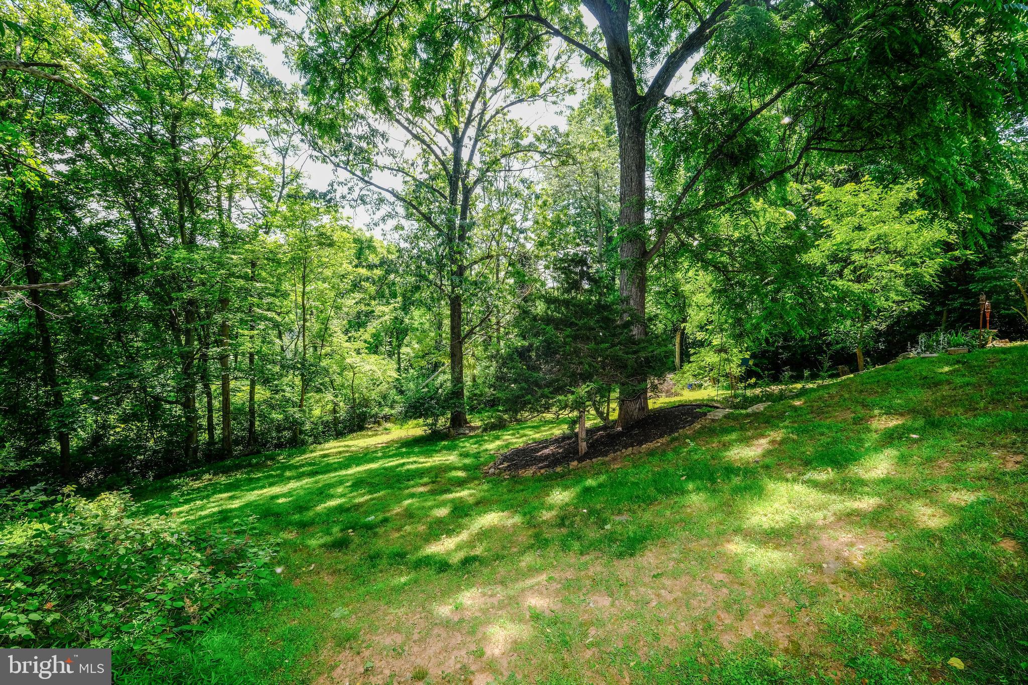 348 Rome Beauty Drive Linden, VA 22642 - Photo 58 of 80 Fantastic rear yard-private with room for garden