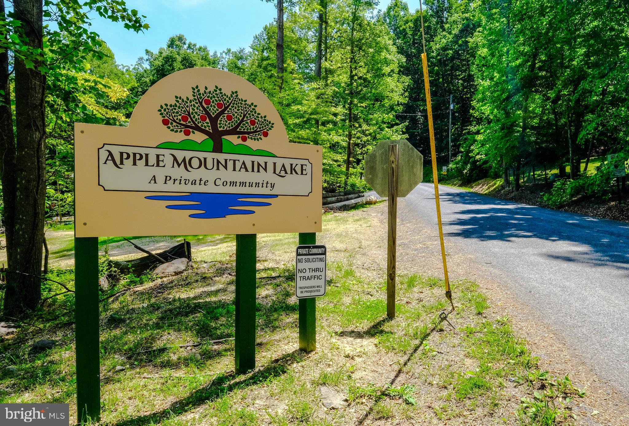 348 Rome Beauty Drive Linden, VA 22642 - Photo 65 of 80 Apple Mountain has great amenities!