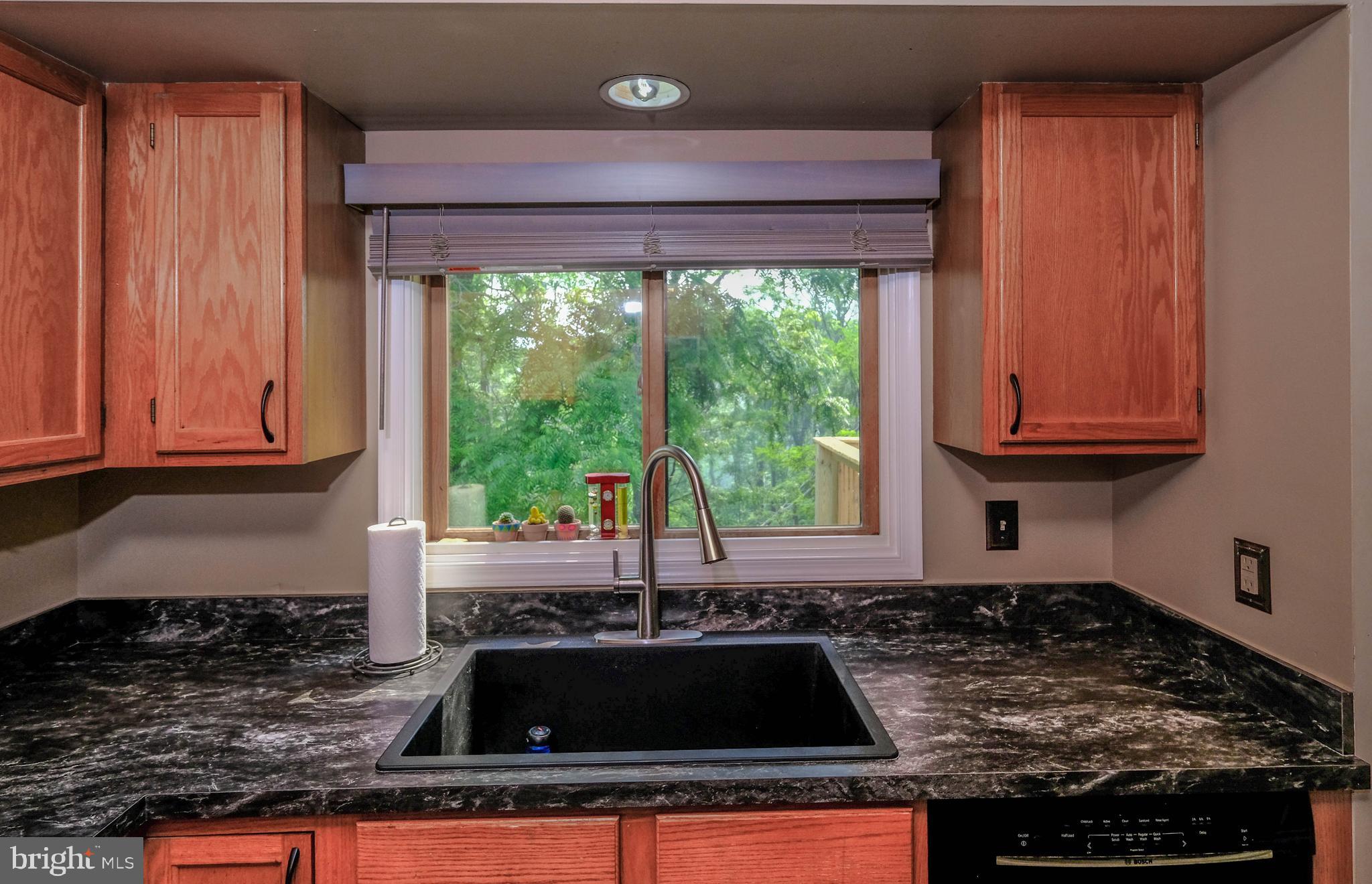 348 Rome Beauty Drive Linden, VA 22642 - Photo 10 of 80 Brand new counters, hardware and deep sink
