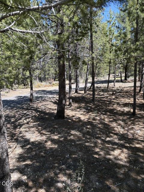 123415 Surveyor Road Crescent Lake, OR 97733 - Photo 53 of 53
