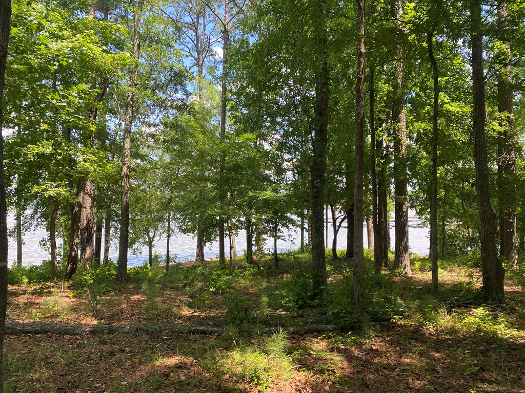 113 Long Point Road Hodges, SC 29653 - Photo 11 of 31