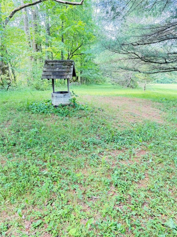 513 Halbert Hill Road Butternuts, NY 13843 - Photo 34 of 50