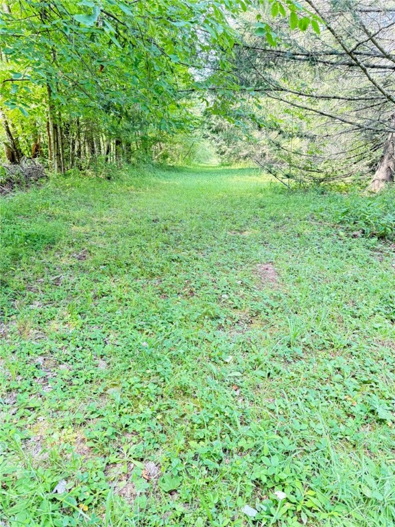 513 Halbert Hill Road Butternuts, NY 13843 - Photo 35 of 50