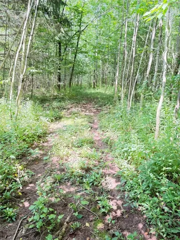 $409,000 | 513 Halbert Hill Road, Butternuts, NY 13843