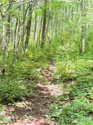 $409,000 | 513 Halbert Hill Road, Butternuts, NY 13843