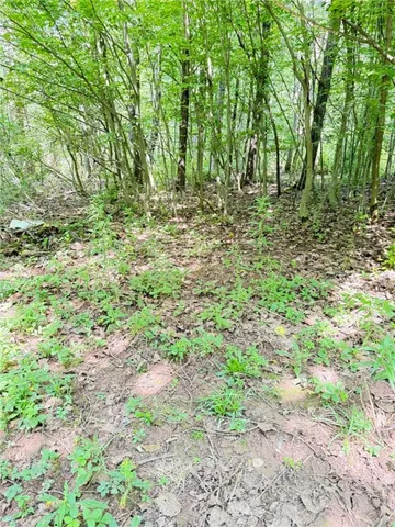 $409,000 | 513 Halbert Hill Road, Butternuts, NY 13843