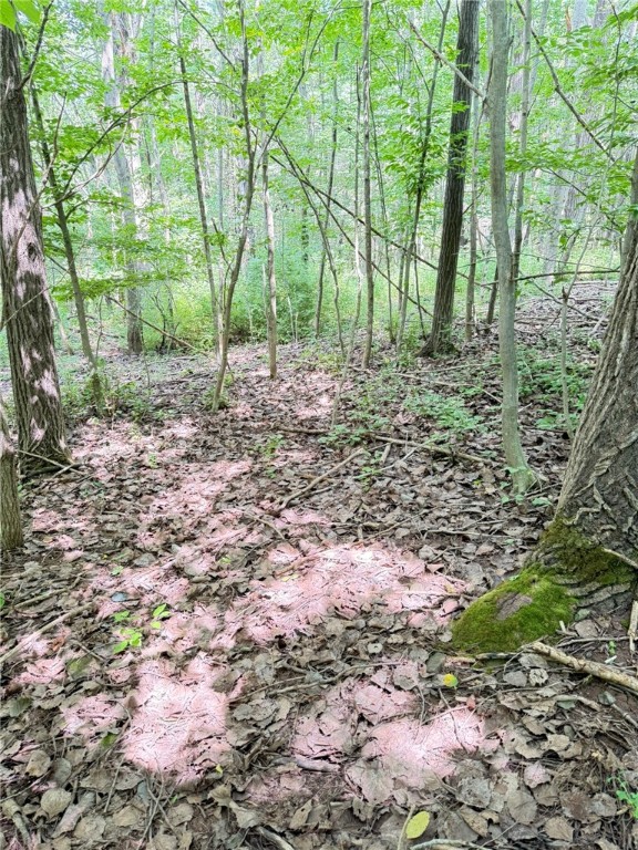 513 Halbert Hill Road Butternuts, NY 13843 - Photo 44 of 50