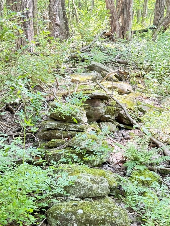 513 Halbert Hill Road Butternuts, NY 13843 - Photo 45 of 50