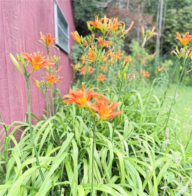 513 Halbert Hill Road Butternuts, NY 13843 - Photo 48 of 50