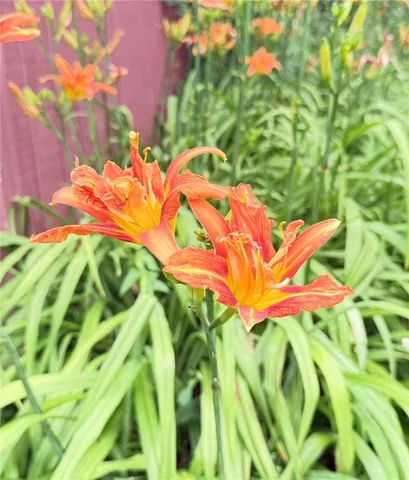 $409,000 | 513 Halbert Hill Road, Butternuts, NY 13843