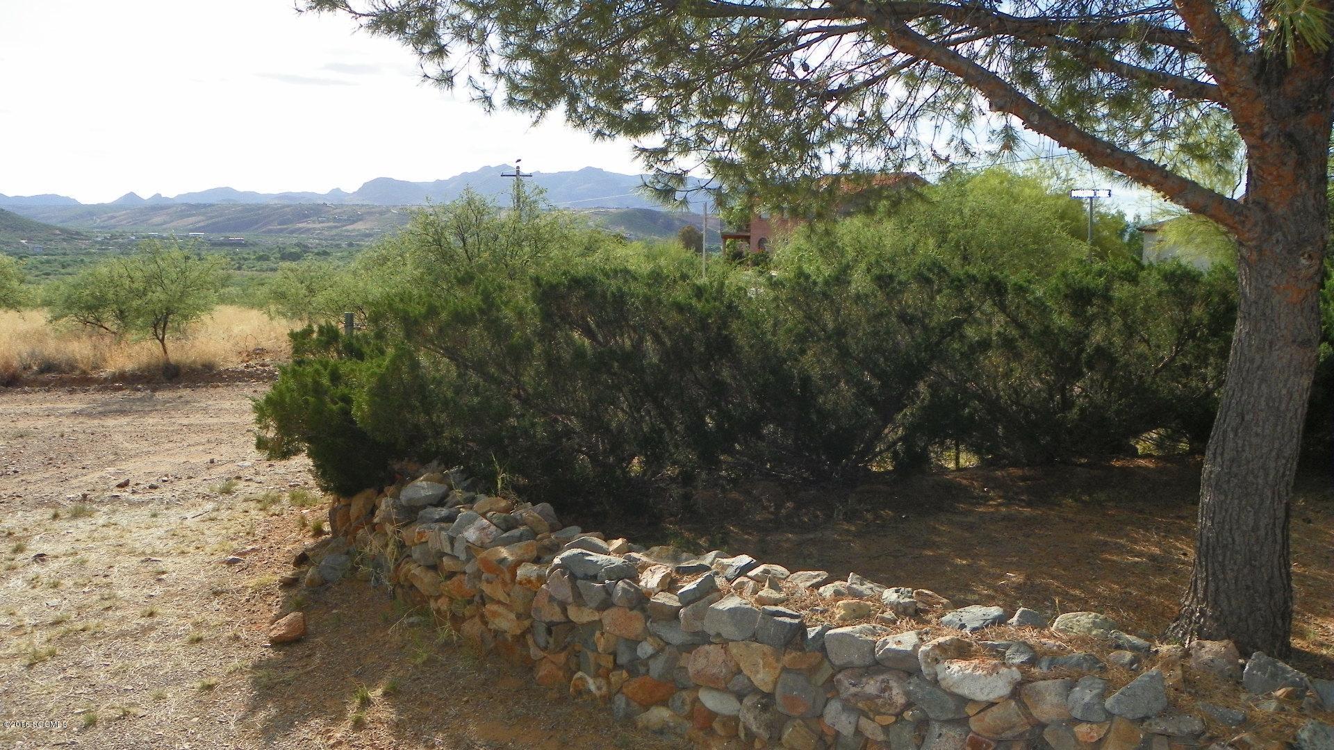 237 Camino Cholula Rio Rico, AZ 85648 - Photo 6 of 19