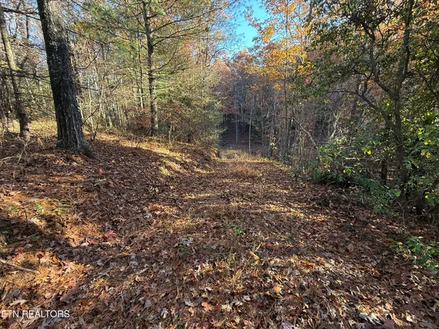 $89,900 | 133 Megan Trace Lane, Turtletown, TN 37391