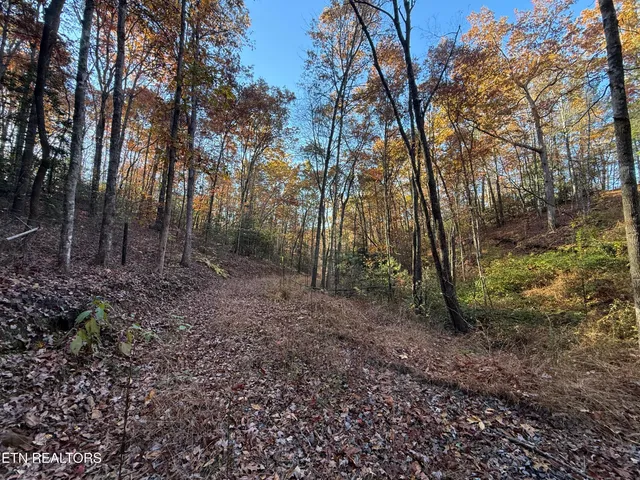 $89,900 | 133 Megan Trace Lane, Turtletown, TN 37391