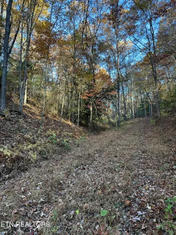 $89,900 | 133 Megan Trace Lane, Turtletown, TN 37391