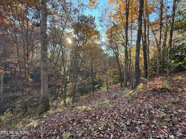 $89,900 | 133 Megan Trace Lane, Turtletown, TN 37391